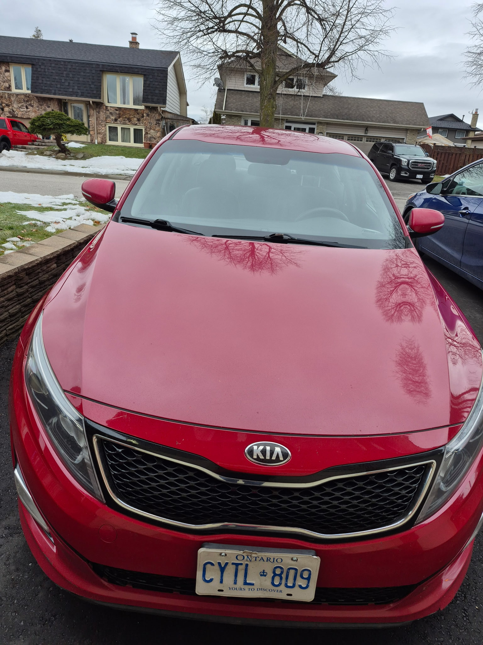 Vehicle exterior