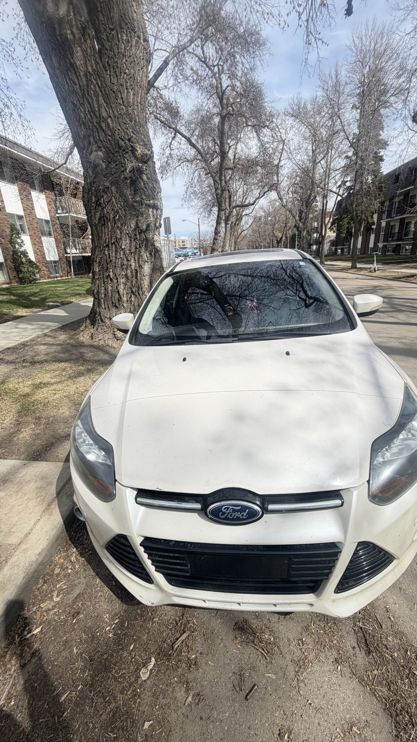 Vehicle exterior