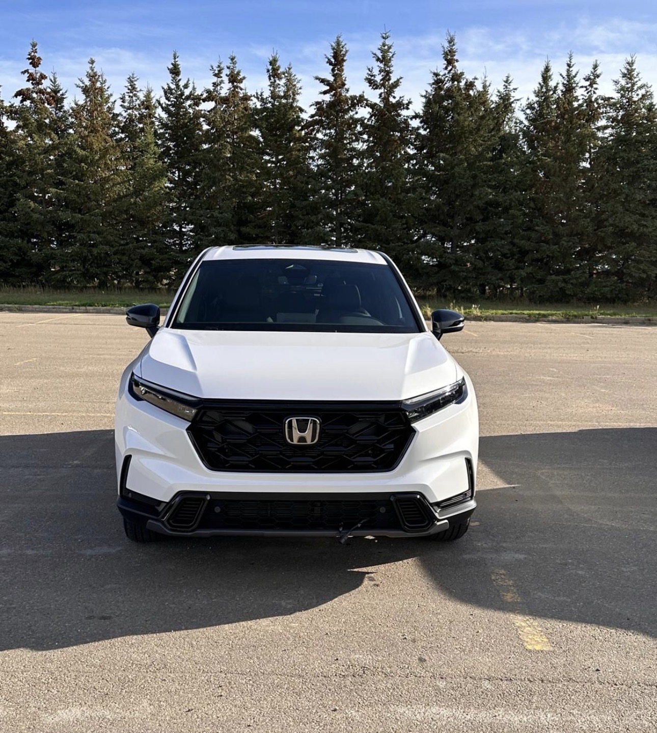 Vehicle exterior