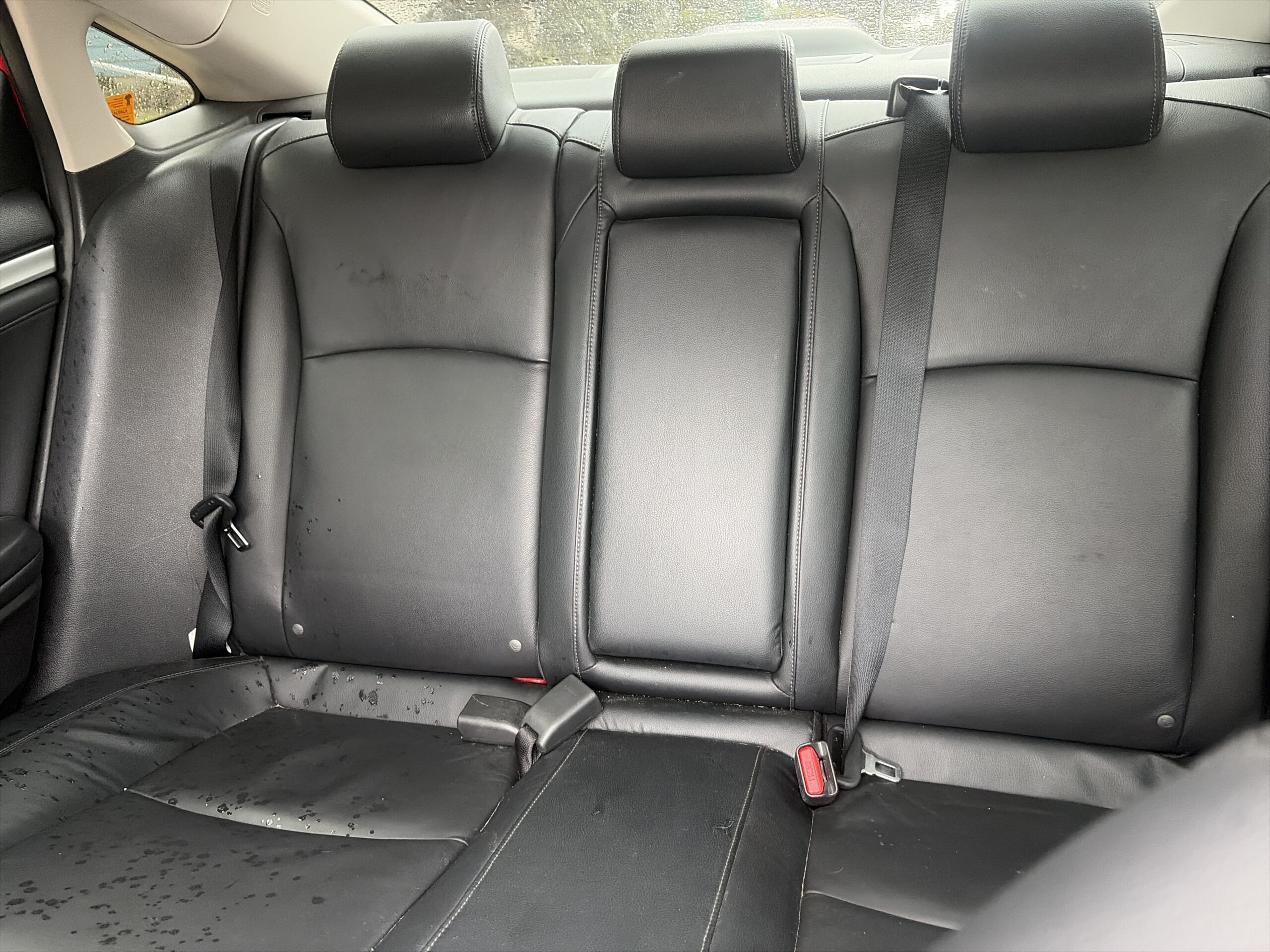 Vehicle interior
