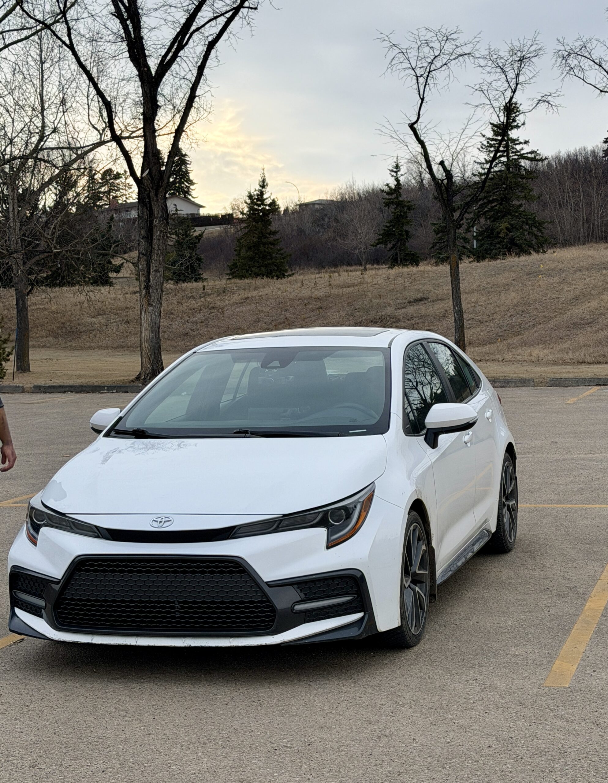 Vehicle exterior