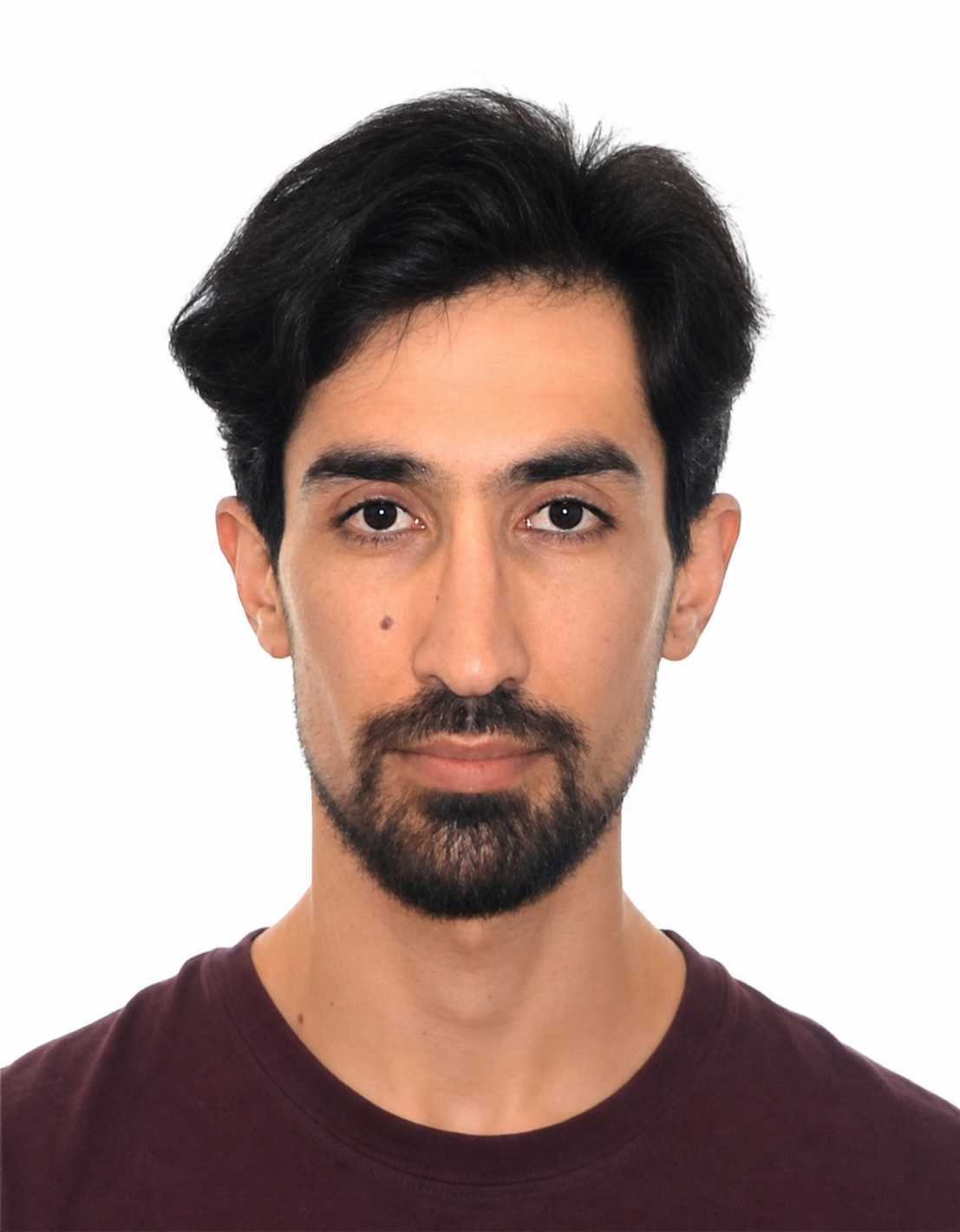 Mohammad Behrad Nikzad